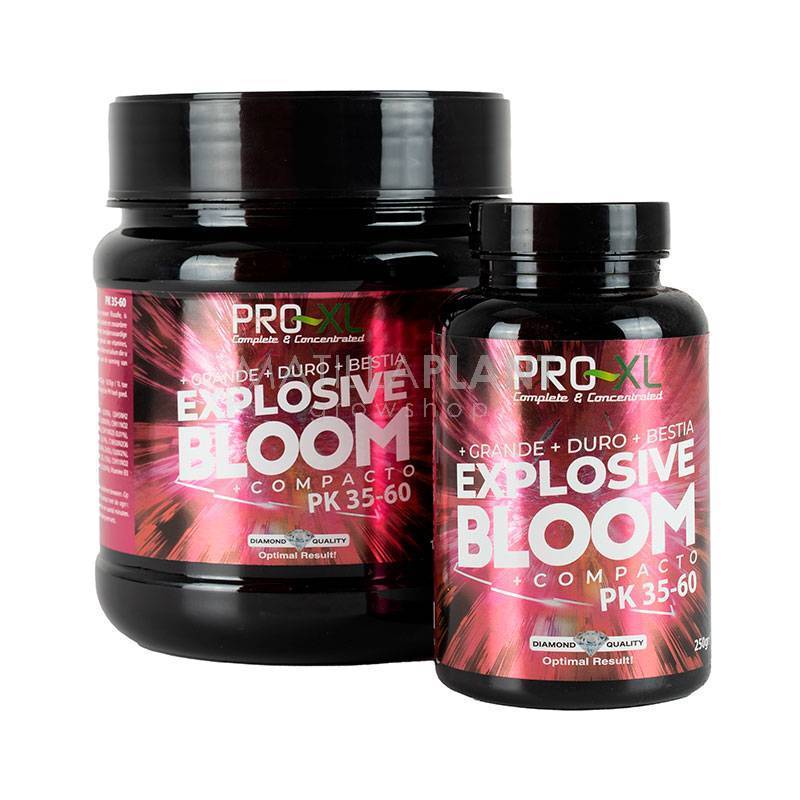 Explosive Bloom de Pro XL