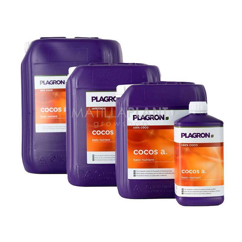 cocosa plagron pack