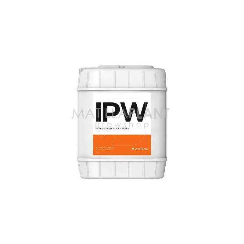 ipw athena matillaplant grande