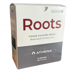 Roots de Athena