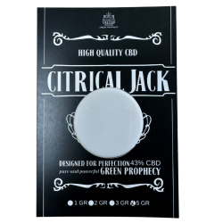 Critical Jack CBD