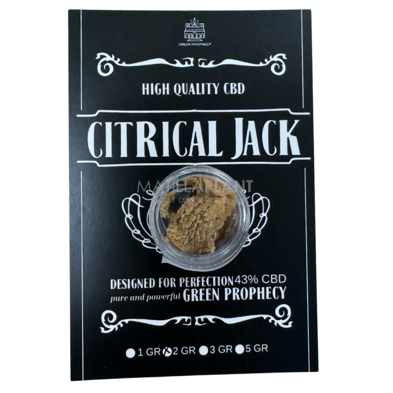 Critical Jack CBD