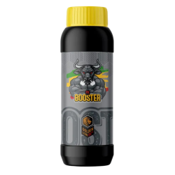 Lion Pk-Booster Golden Lion