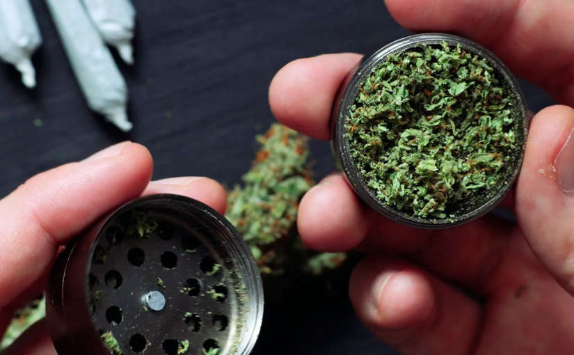 ¿Cual es el mejor Grinder de marihuana? Nuestro Top Grinders