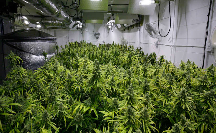 La ventilación perfecta para tus cultivos de marihuana de interior