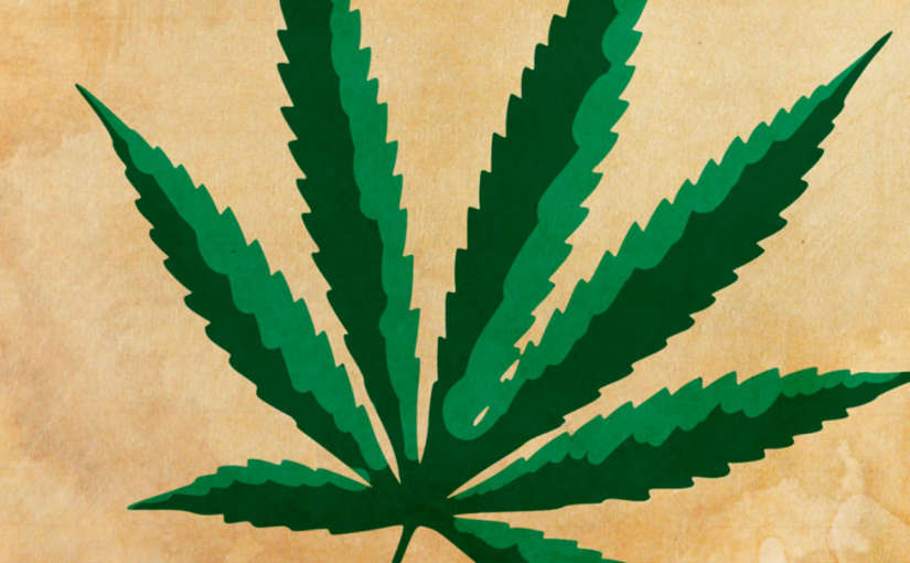 Dudas acerca de la legalización de la marihuana