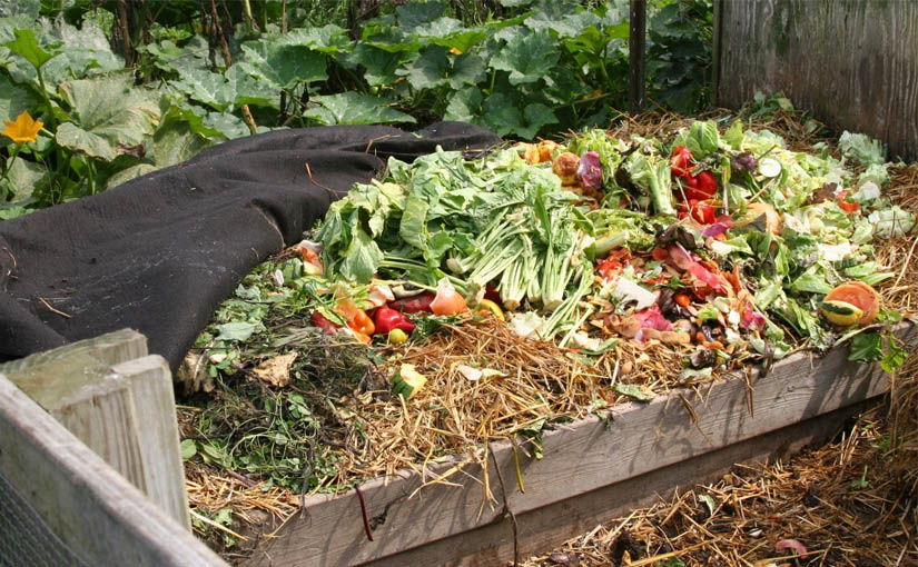 fabricar tu propio compost o sustrato casero