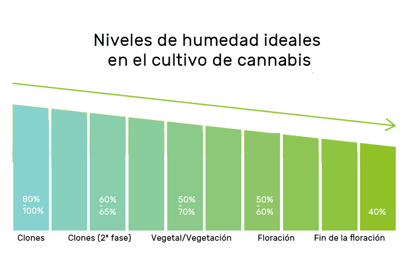 niveles-humedad-cultivo-cannabis