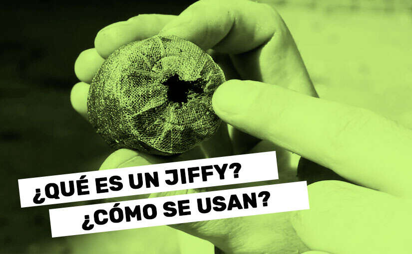 Qué son los jiffys y cómo utilizarlos 