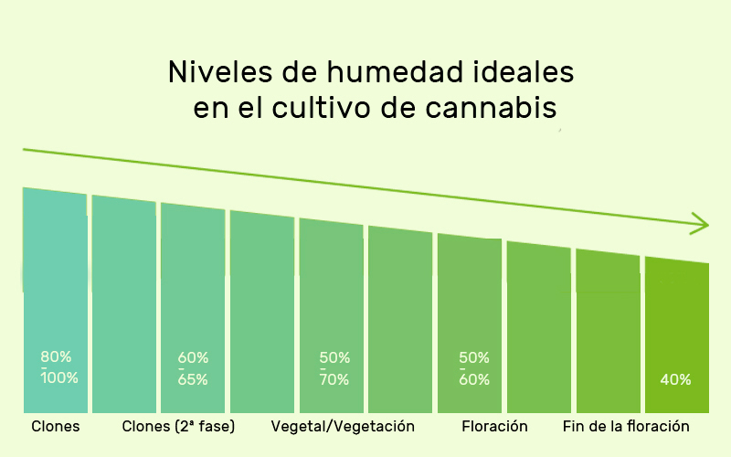 niveles-humedad-cannabis