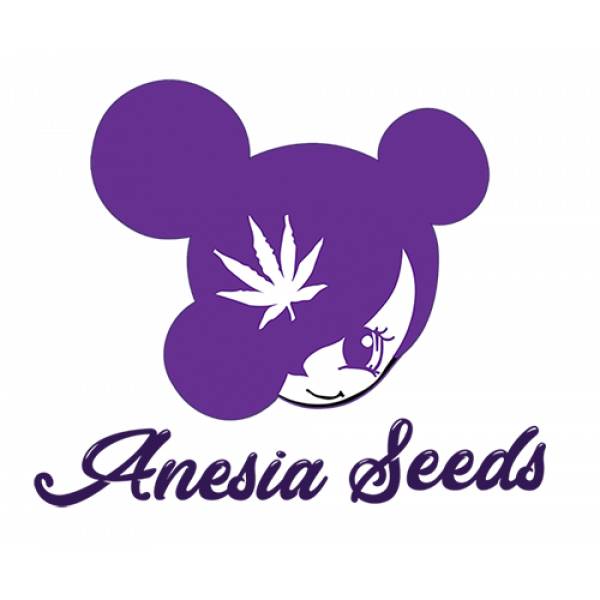 Anesia Seeds