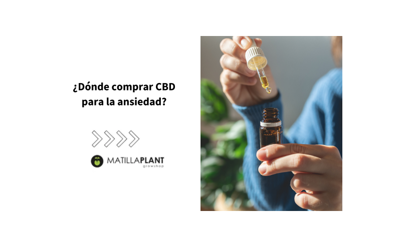 ¿Dónde comprar CBD para la ansiedad?