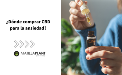 ¿Dónde comprar CBD para la ansiedad?